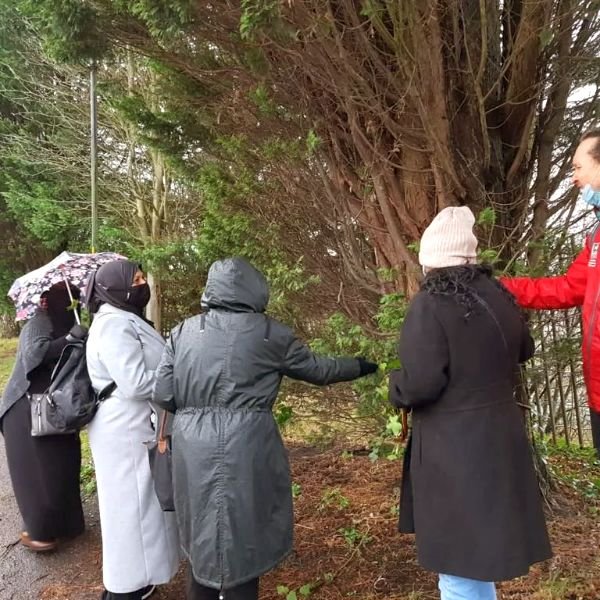 A walking group on a country path