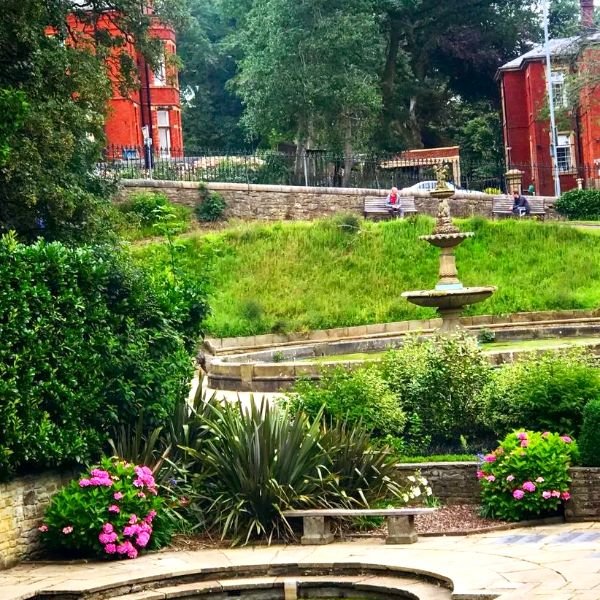 A community garden