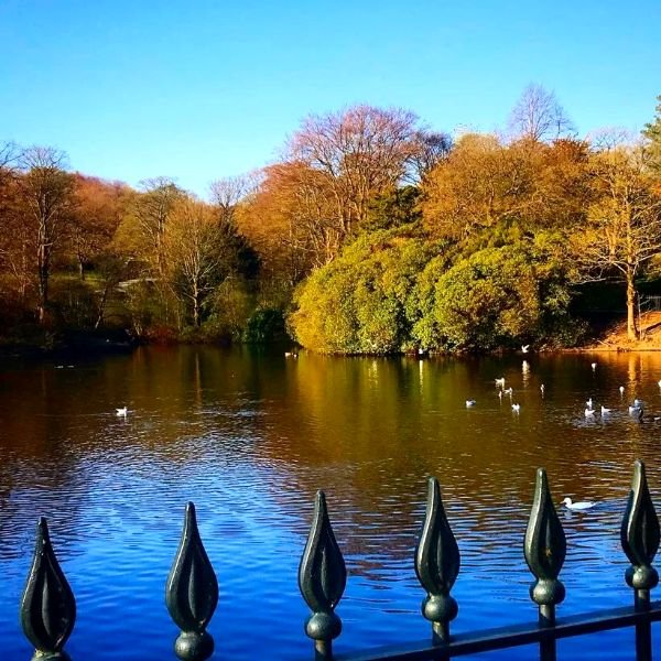 A lake seen on a group walk
