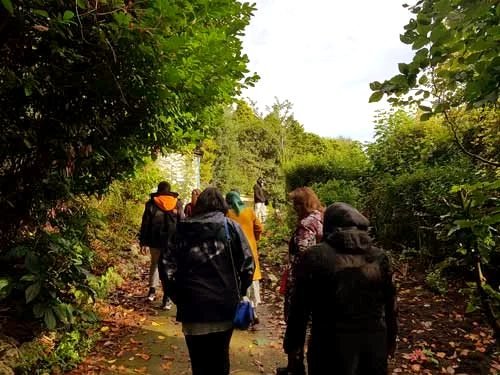 A mindful walk through the woods